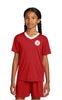 Nativity PE V-Neck